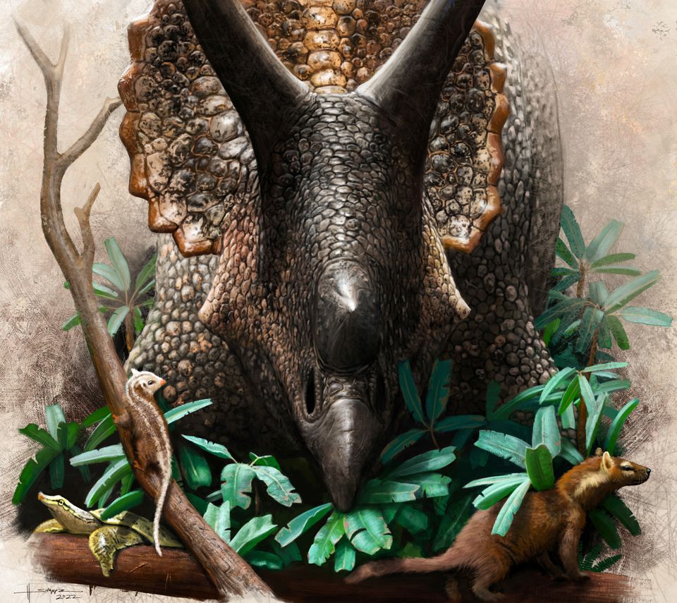 image Study shows dinosaurs were &#8216;struck down in their prime&#8217; by asteroid