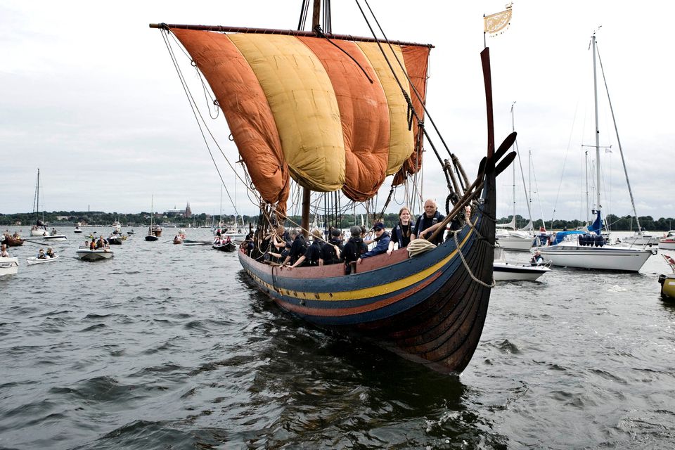 image Study shows how Viking age left mark on genetics of Scandinavians