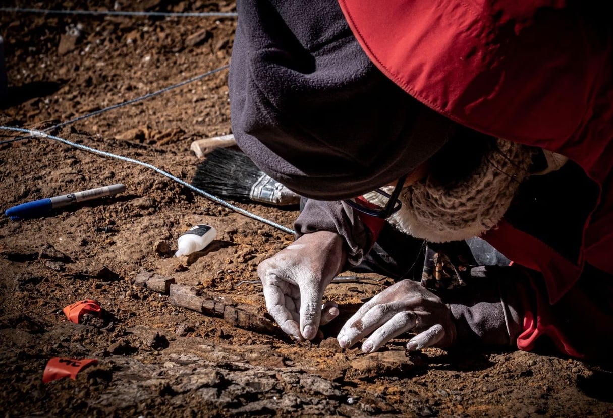 image Scientists unearth megaraptors, feathered dinosaur fossils in Chile&#8217;s Patagonia