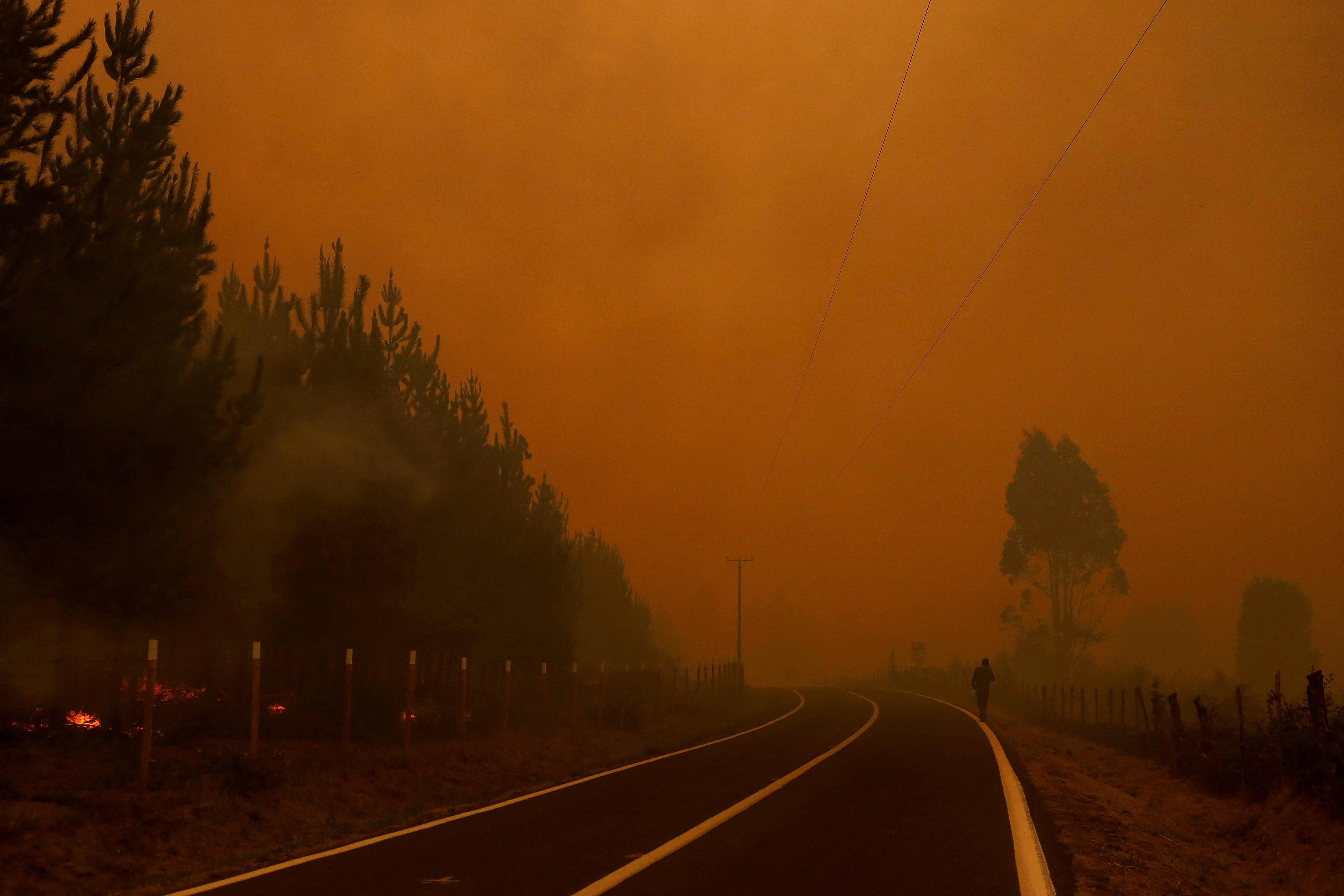 image At least 23 dead as dozens of wildfires torch forests in Chile