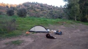 feature nick bob's sleeping arrangements came to include finn