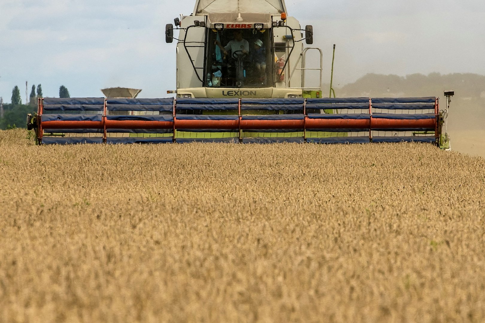 image EU sets Ukraine grain import restrictions in 5 countries until June 5