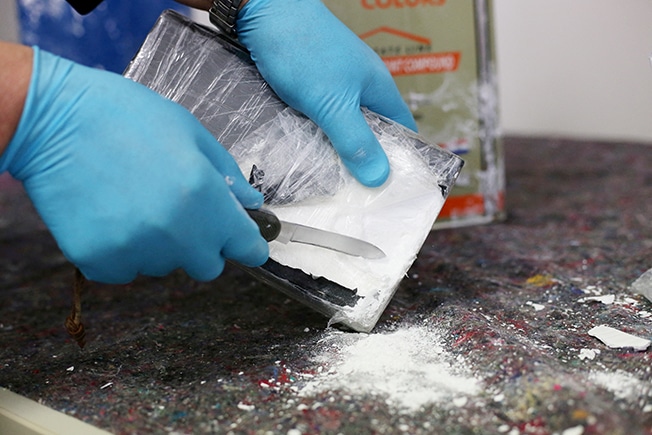 Nine years for cocaine smuggler