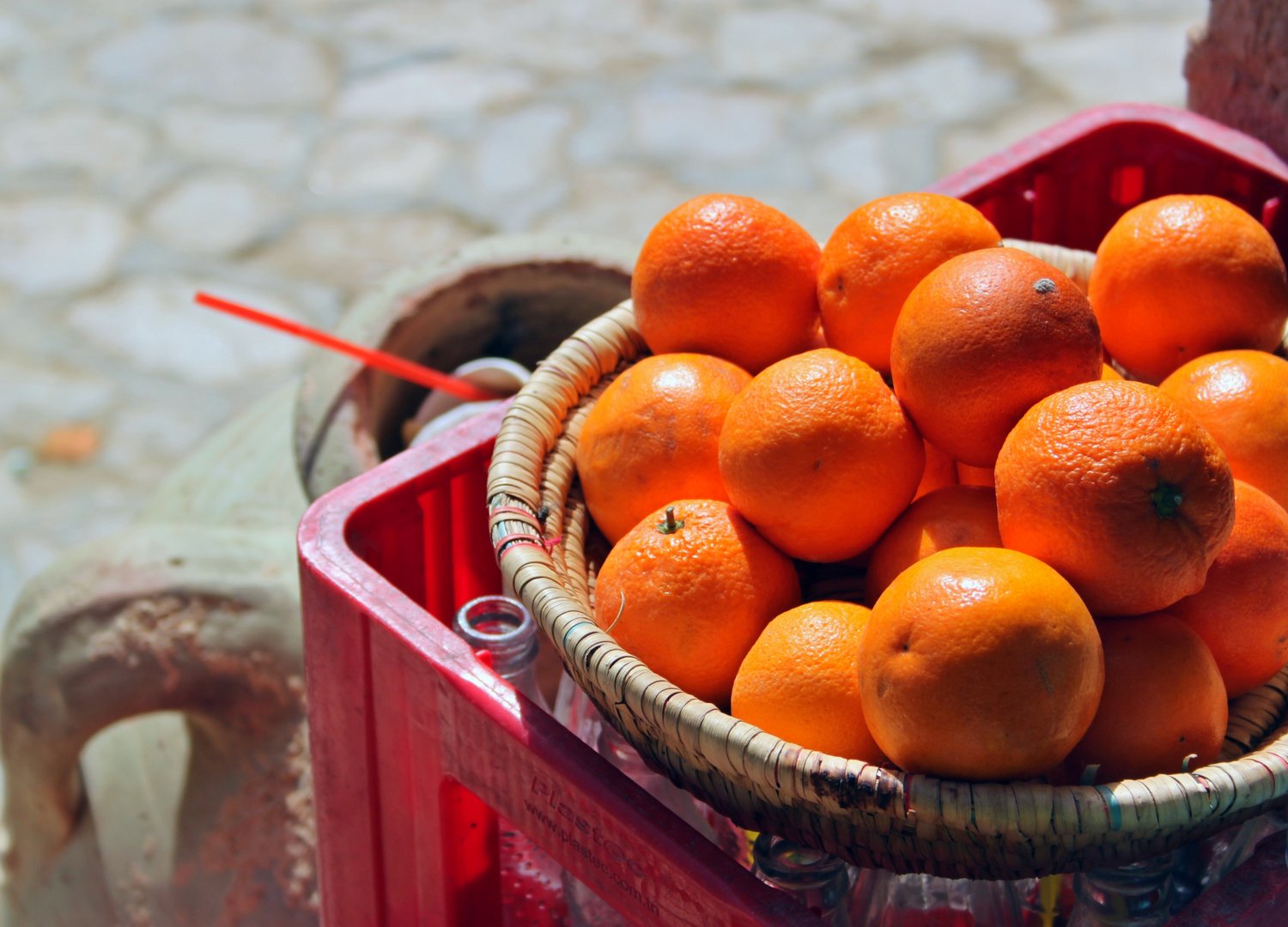 image Dierona Mandarin Festival returns