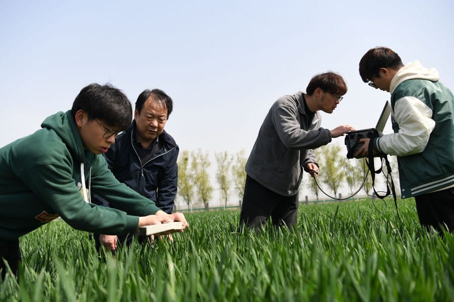 image Chinese universities refresh talent pool, serve national development with fresh majors
