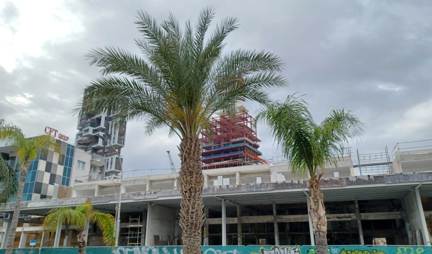 image Council calls for integrated plan to drive development and sustainability