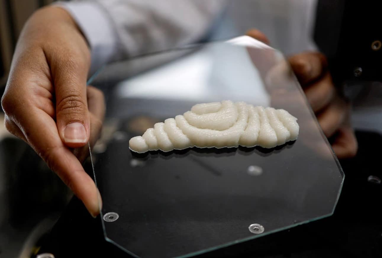cover Dished up by 3D printers, a new kind of fish to fry