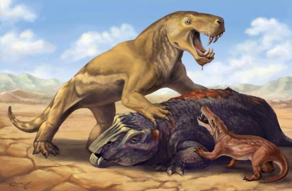 this undated illustration shows the permian period tiger sized saber toothed protomammal inostrancevia atop its dicynodont prey, scaring off the much smaller species cyonosaurus