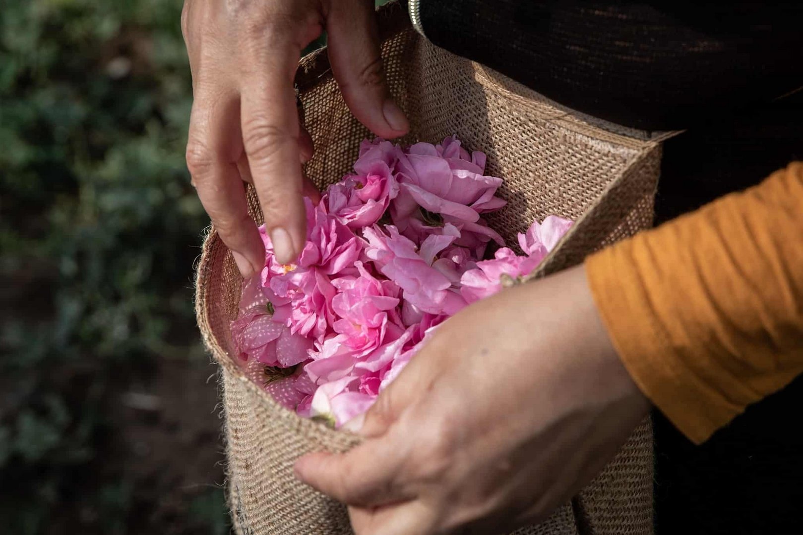 image Upcoming village spring festivals around the island