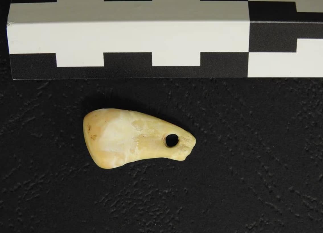 image The pendant is 20,000 years old. Ancient DNA shows who wore it