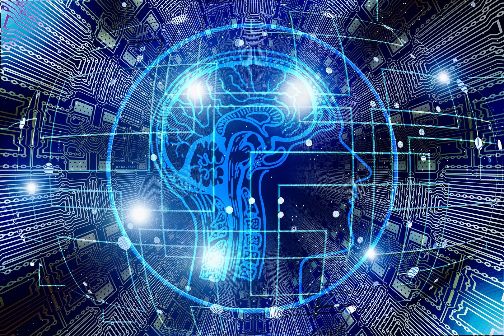 image Cyprus News Digest: Are our brains the right size to ensure we avoid extinction?