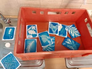 feature2 cyanotypes being made
