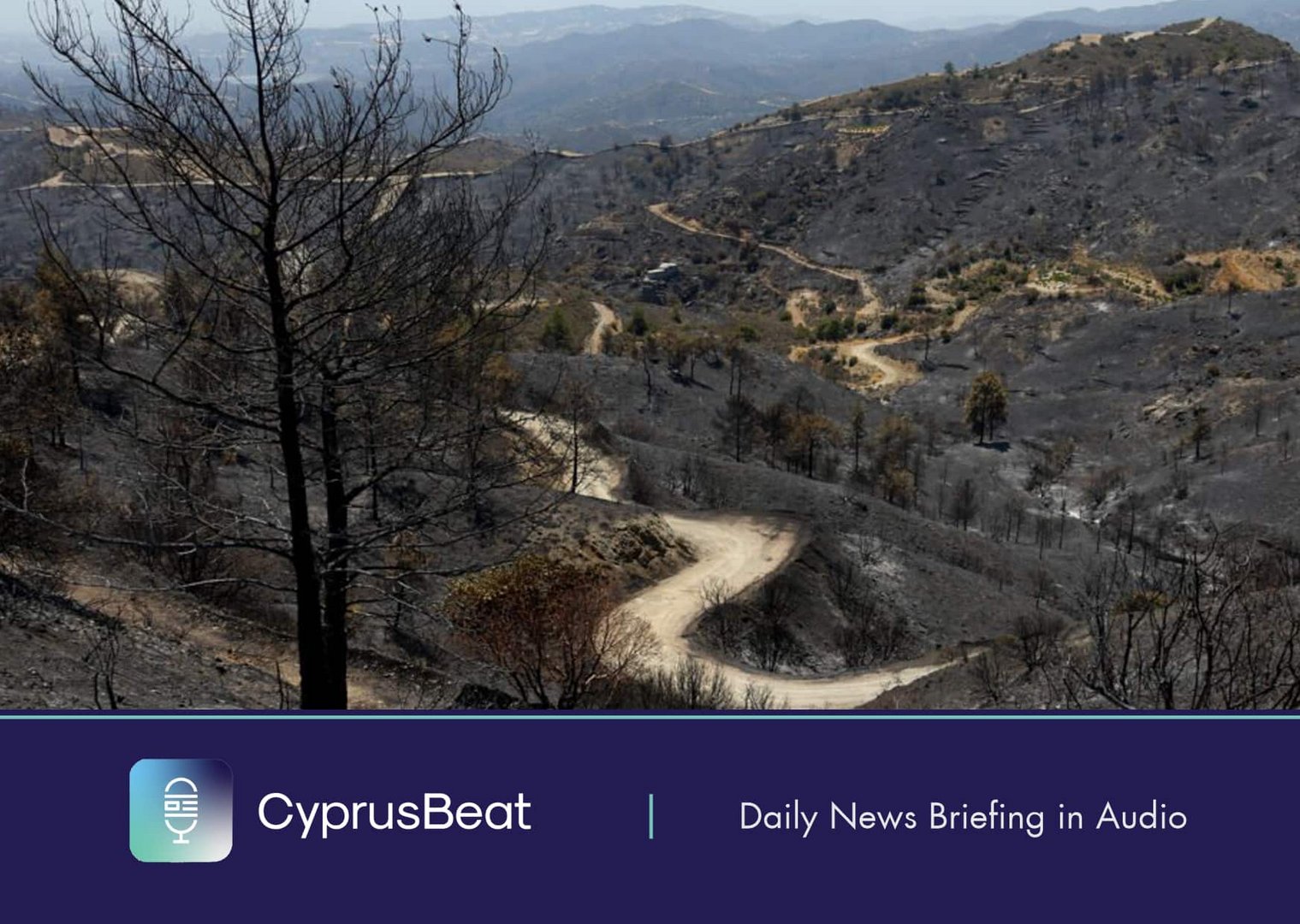 image Daily News Briefing