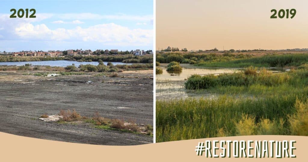 feature annette oroklini lake before and after restoration