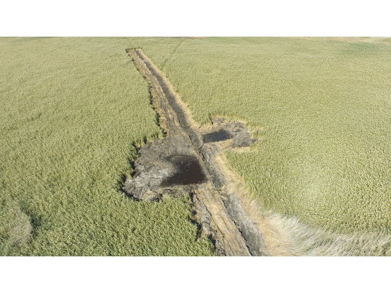 image ‘Critical moment’ for Cyprus farmland and forests