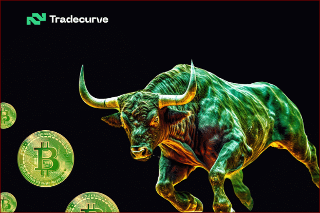 image Bit2Me Spanish Crypto exchange raises $15 Million, Tradecurve set for $20 million