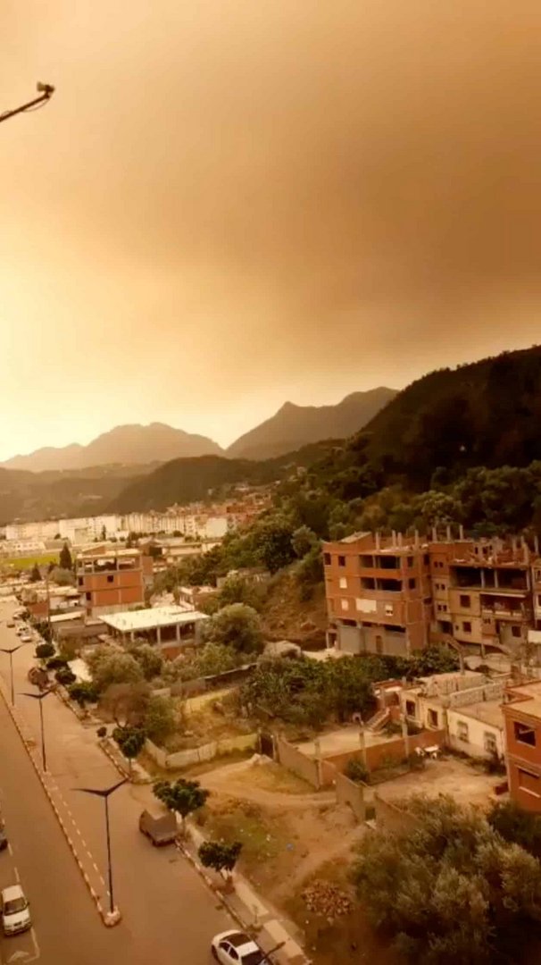 image Wildfires kill 34 in Algeria as heatwave sweeps north Africa (Update)