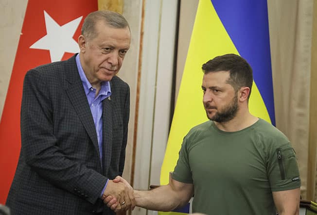 cover Zelenskiy, Erdogan to discuss grain deal, prisoner swaps