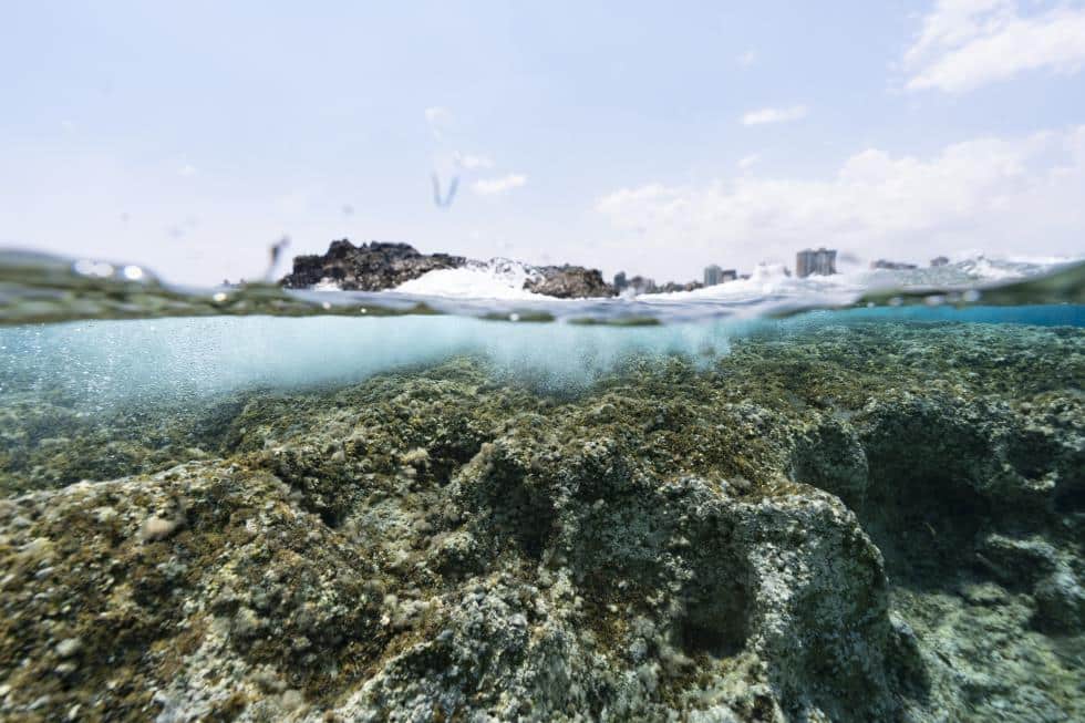 image Exhibition takes a dive under water