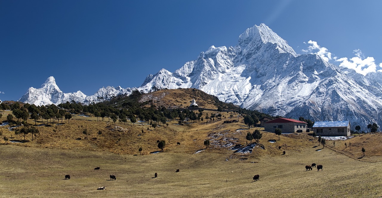 image Six people die in helicopter crash in Nepal, air crashes &#8216;common&#8217; in south Asian country