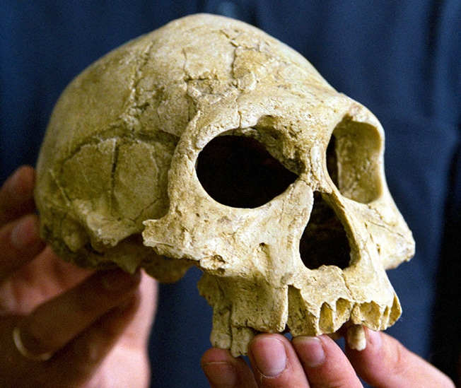 image A frigid apocalypse doomed early humans in Europe