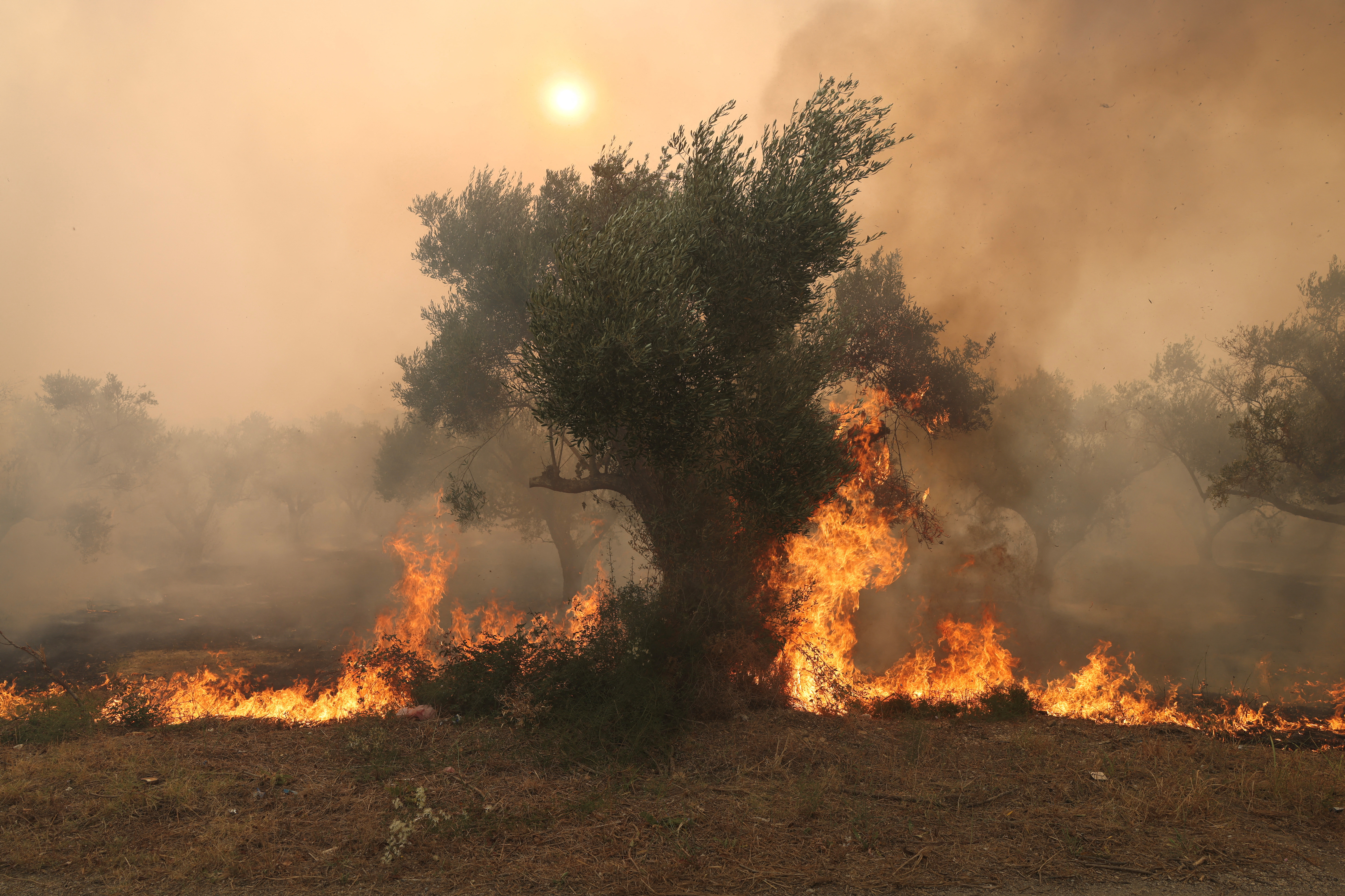 image Wildfires rage in Greece, Spain and Italy as heatwave spreads