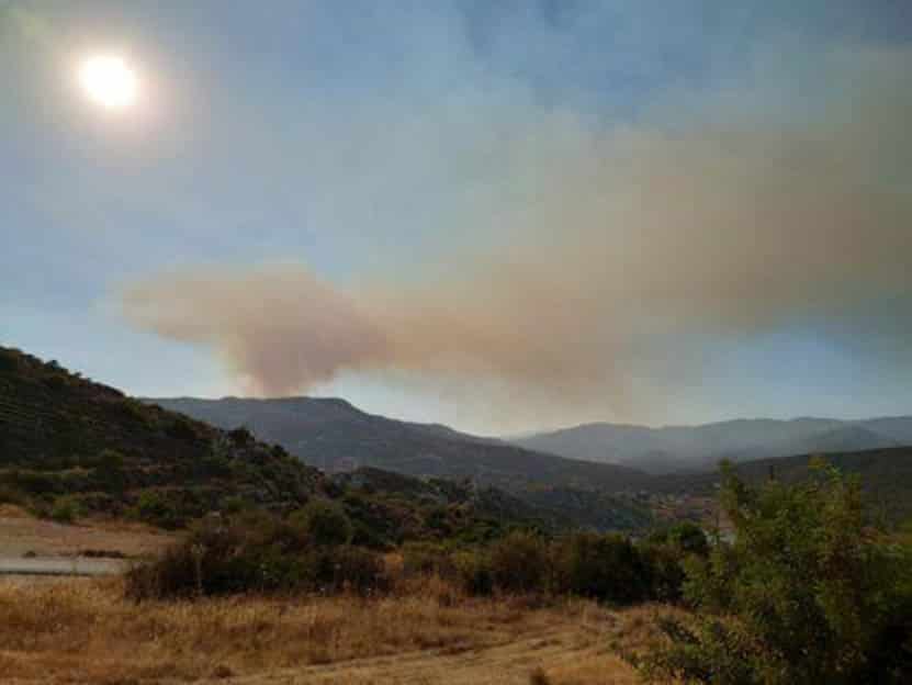 Limassol villages plagued by fires to create monitoring system