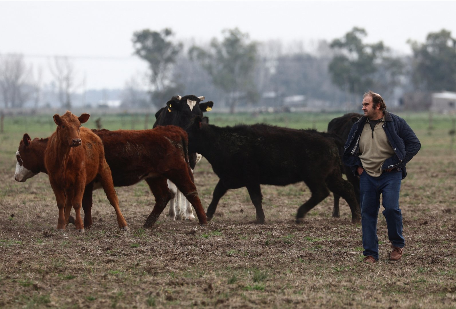 image Argentine farmers back conservatives in election, hoping for freer markets