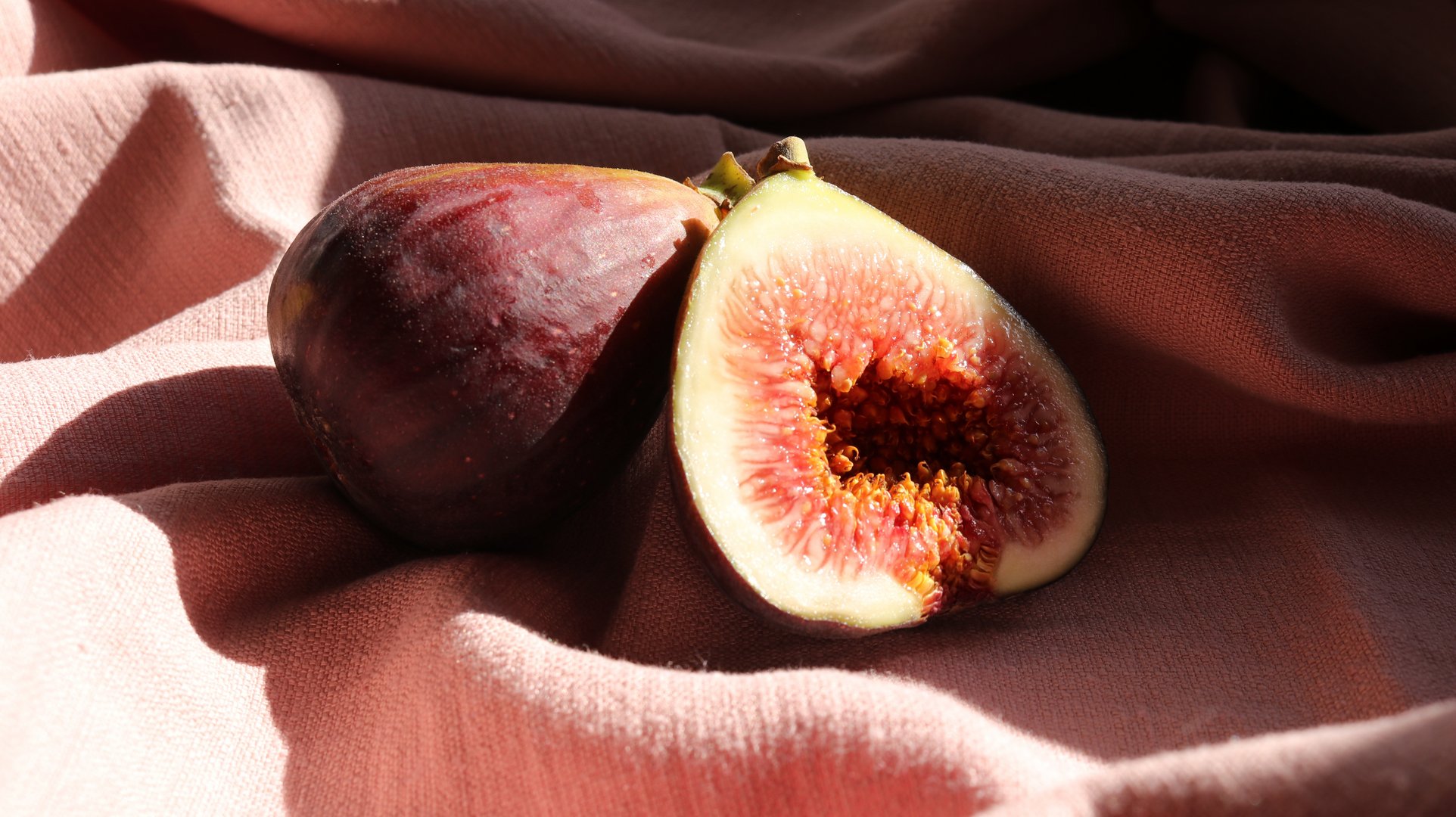 image Festival shines spotlight on figs
