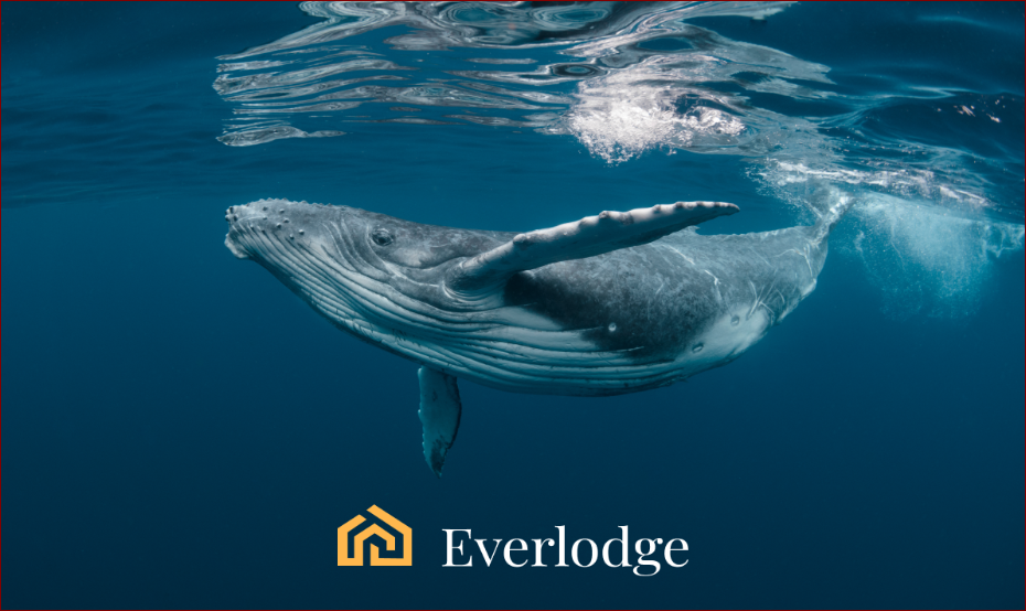 image Cosmos (ATOM) and Hedera (HBAR) Whales embrace Everlodge (ELDG), shaking up the $82B vacation rental industry