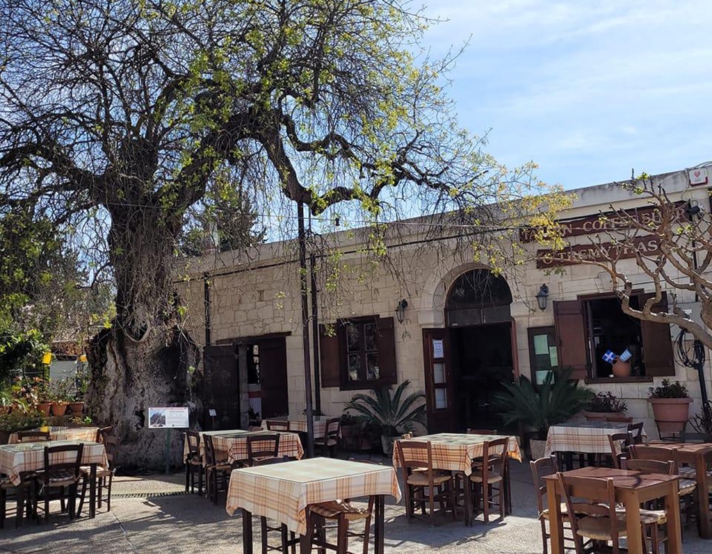 image Restaurant review: O Tremythas, Simou, Paphos