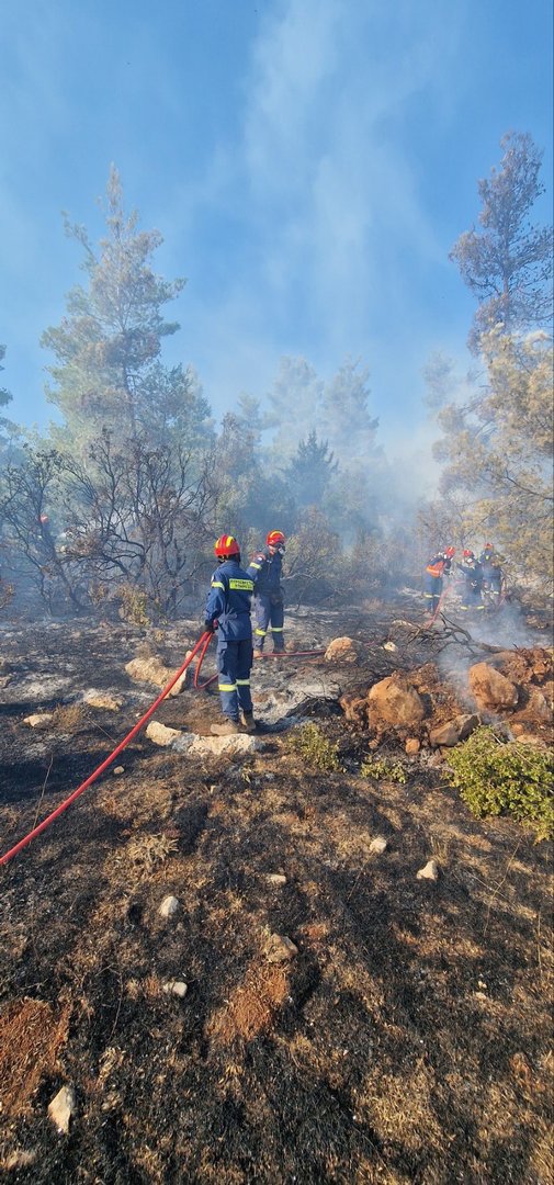 image Cypriot firefighters to return from Greece