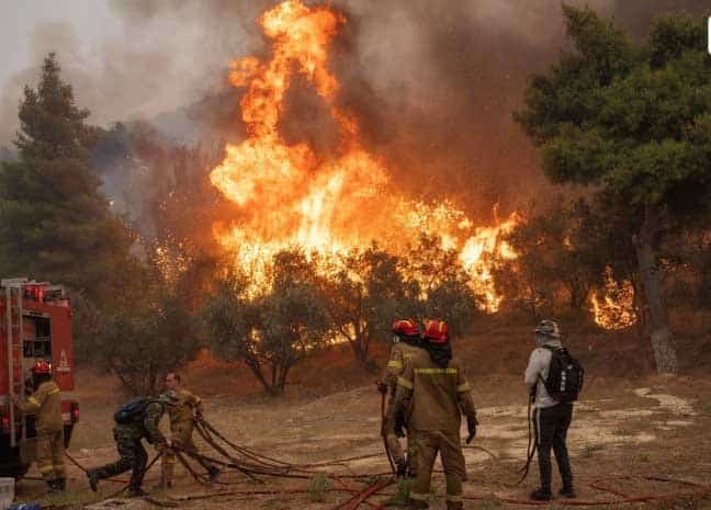 image Increasing fires: Mediterranean ecosystems and what weakens them