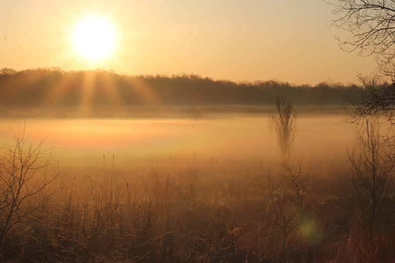image Today&#8217;s weather: Warm, dusty spells