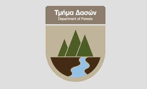 cover Forestry department faces scrutiny over lease expansion and €1.3m in lost revenue