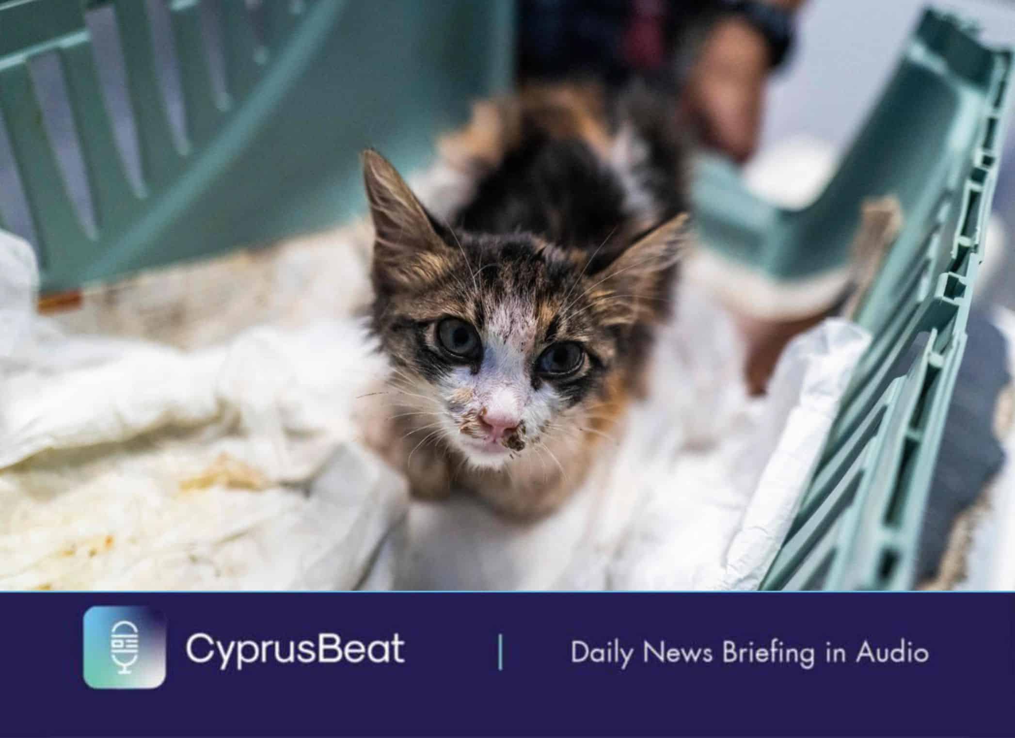 image Daily News Briefing