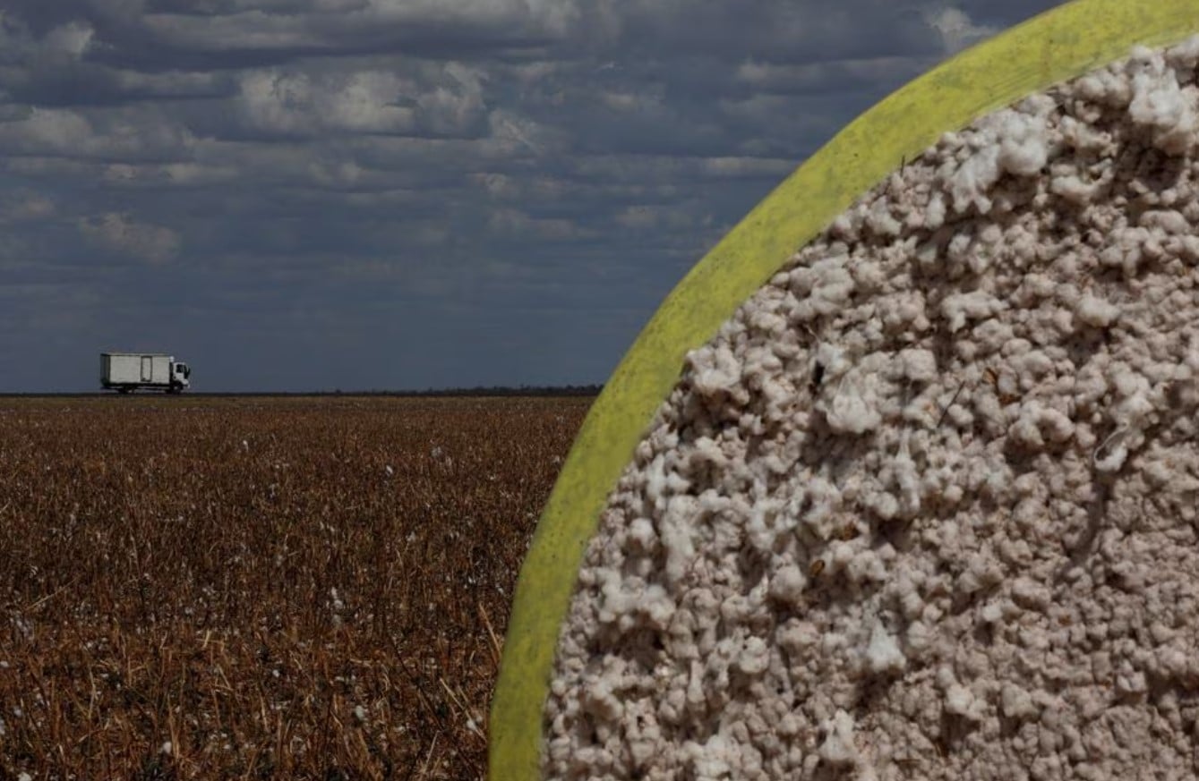 image Sustainable cotton group boosts tracking for top retailers