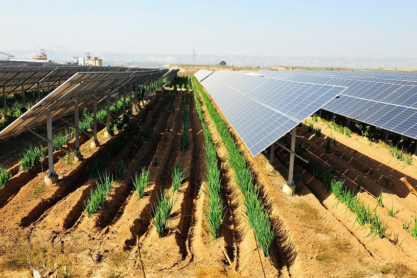 Govt to reform state land allocation for solar parks