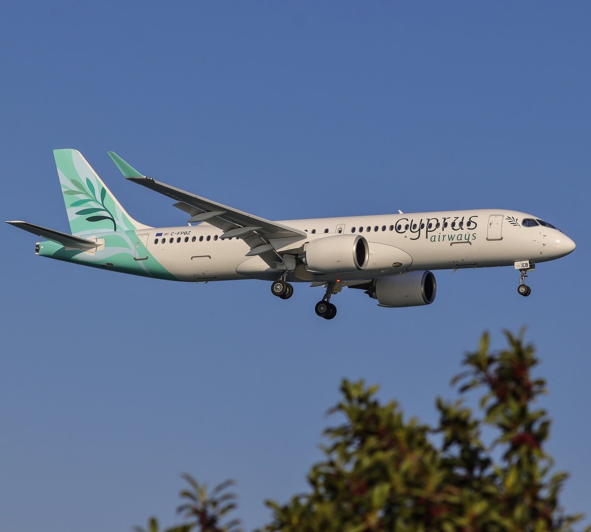 cover Cyprus Airways records revenue surge despite regional turmoil