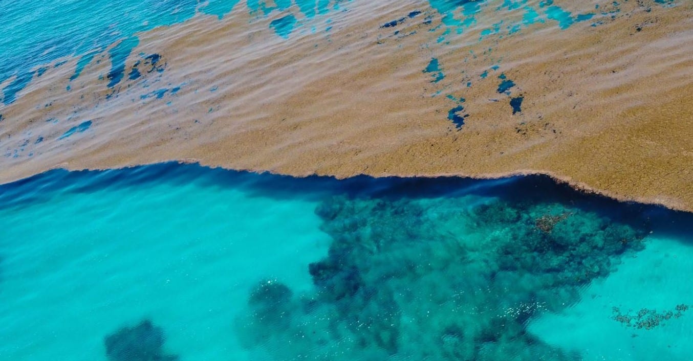 image In mighty Atlantic Ocean, ecosystem wonders and threats lie below the surface