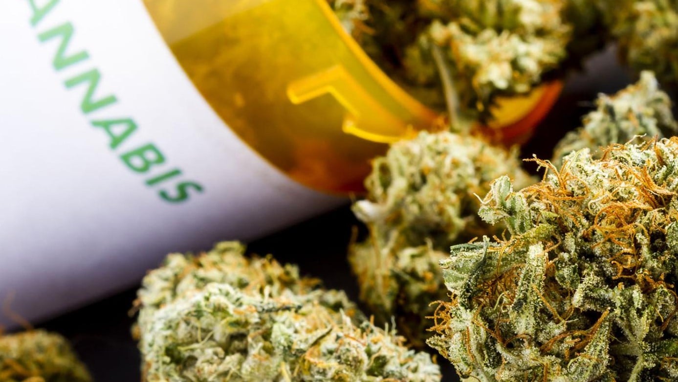 image High hopes: the quest to turn cannabis into a potent medicine