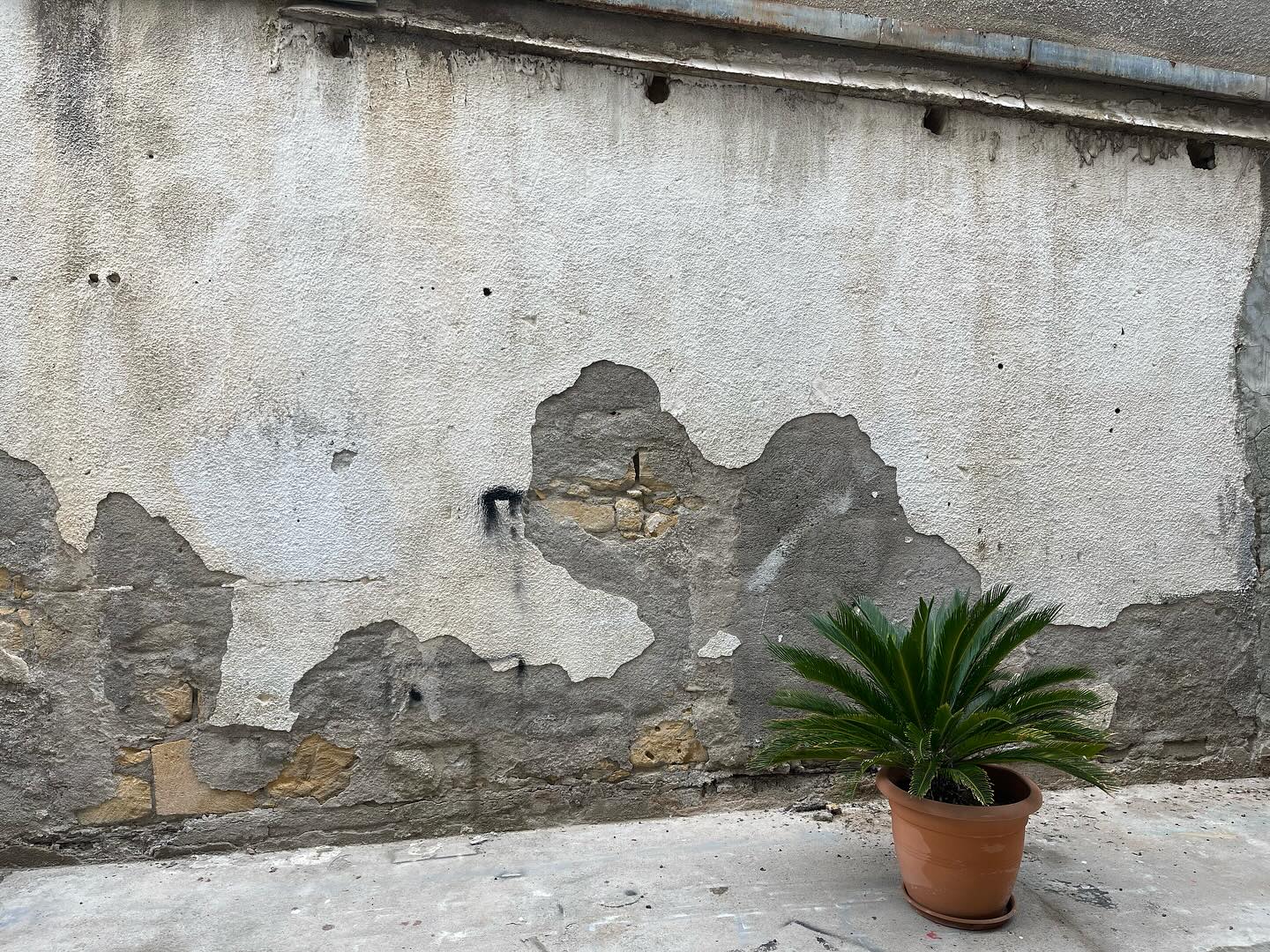 image New year, new exhibitions