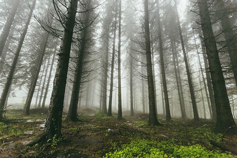 image Today&#8217;s weather: Overcast and dusty with light rains