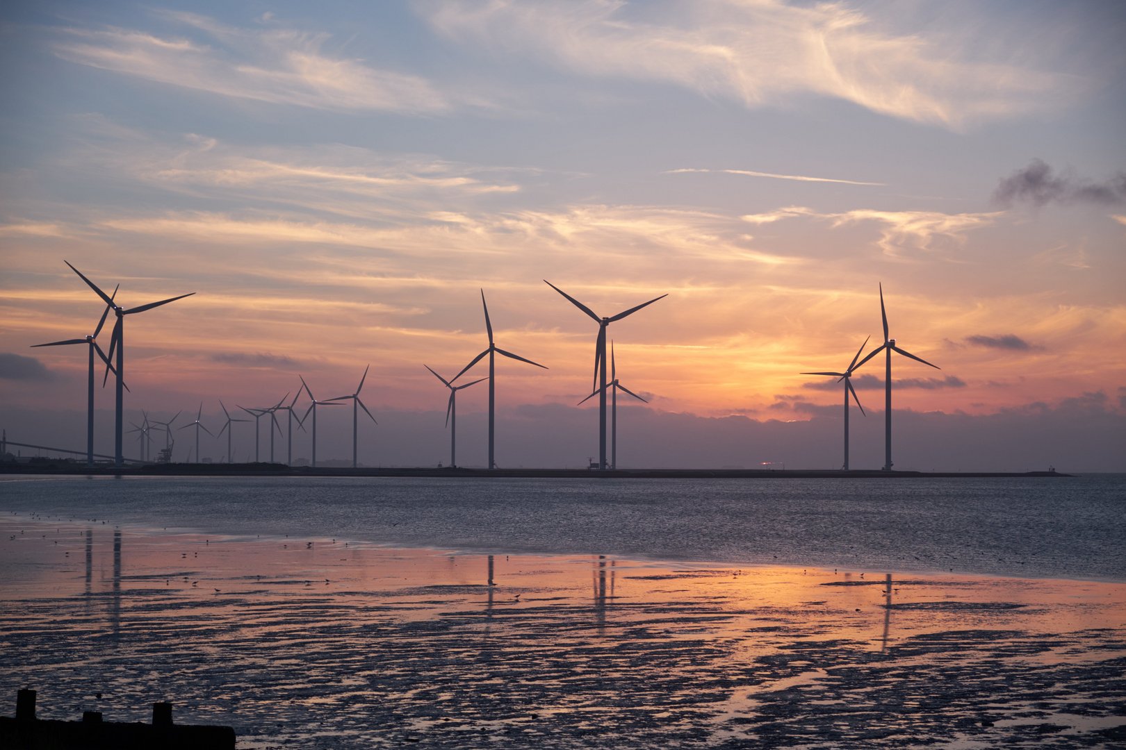 cover Energy minister sees green future