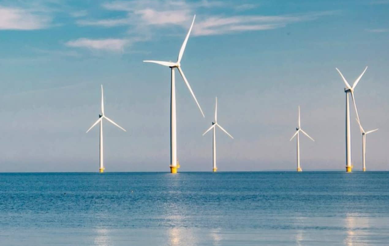 image On offshore wind farms, seafood production may be a breeze