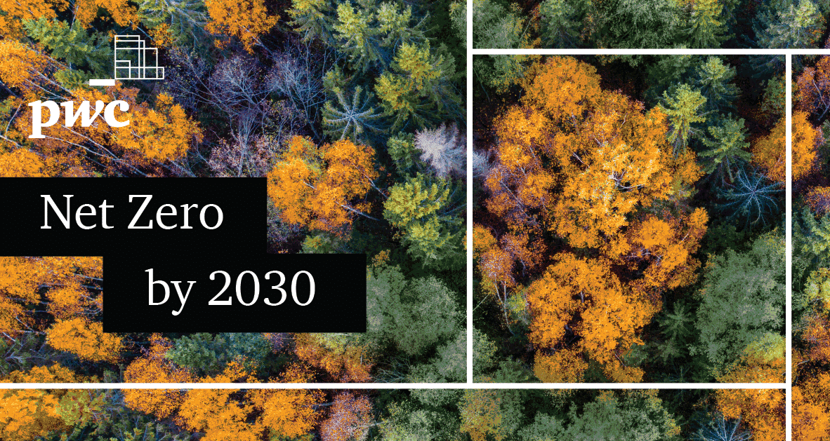 net zero
