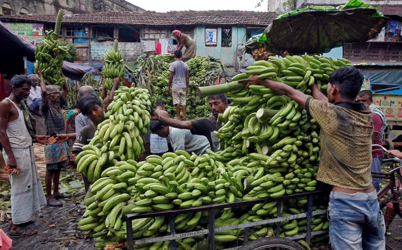 image Russia buys bananas from India after Ecuador military hardware spat