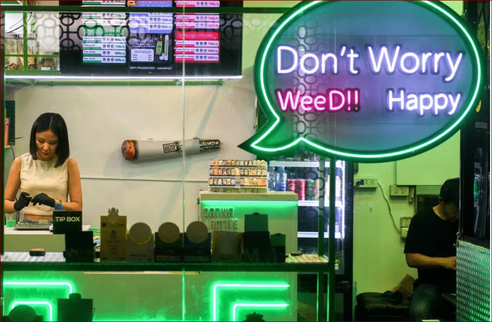 Misuse of cannabis forces Thailand to ban recreational use by year-end