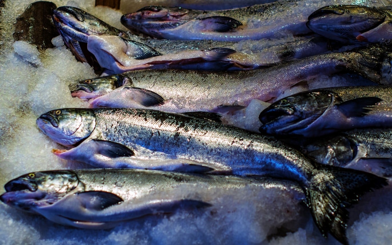 image Competitive fish farming sector demands differentiation, managing director says