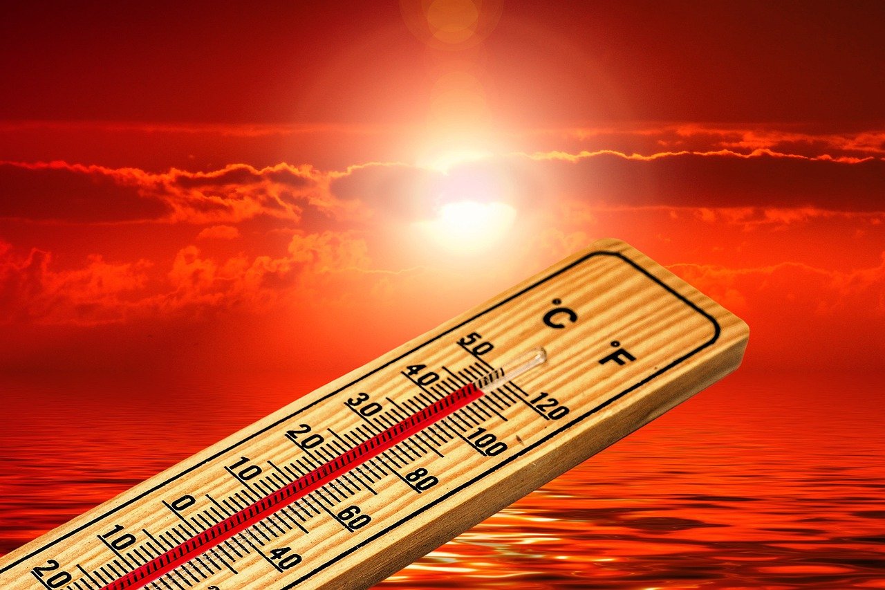 image January was world&#8217;s warmest on record, EU scientists say